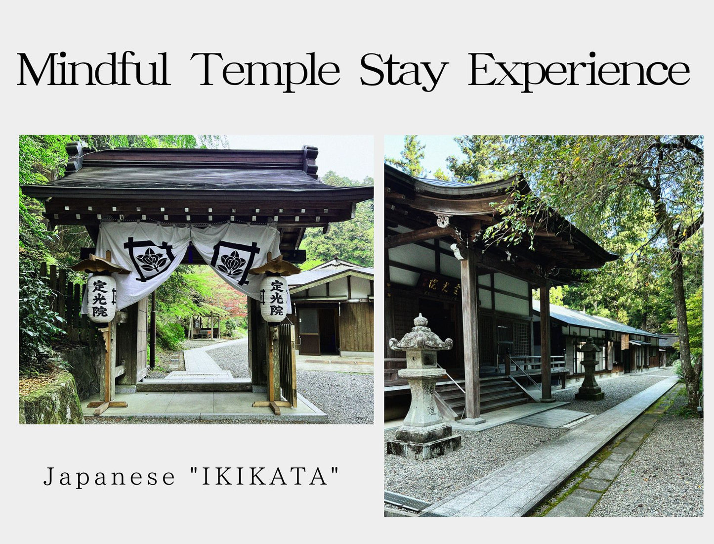 Mindful Temple Stay - Serene Living with Japanese Buddhist Priests